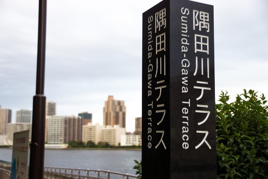 ブログRosieトイプードル銀座リリーとドナas know as de wan71