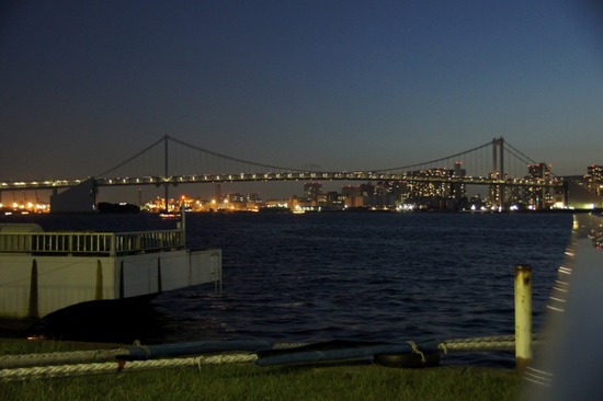 トイプードル銀座リリーas know as dewan16