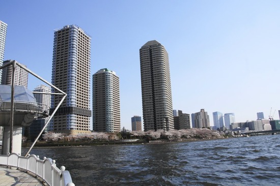 as know as de wan トイプードル 銀座リリー35