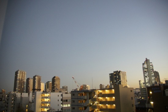 as know as de wan トイプードル 銀座リリー13