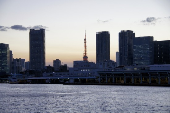 トイプードル銀座リリーasknowasdewan14