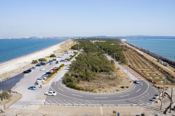 トイプードル銀座リリー017