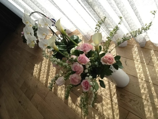 as know as de wan トイプードル 銀座リリー19