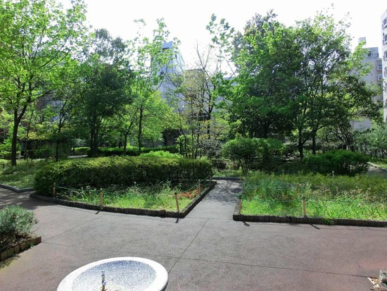 as know as de wan トイプードル 銀座リリー00