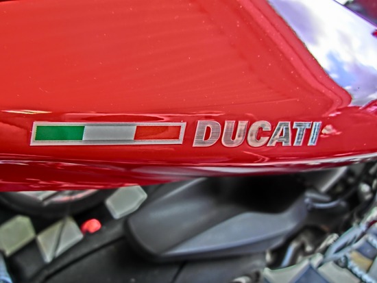 銀座トイプードルリリーas know as de wan10