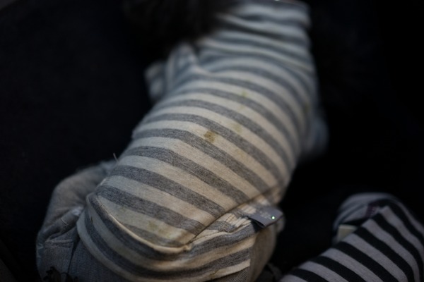 20151129ブラックトイプードル銀座リリー&ドナ028