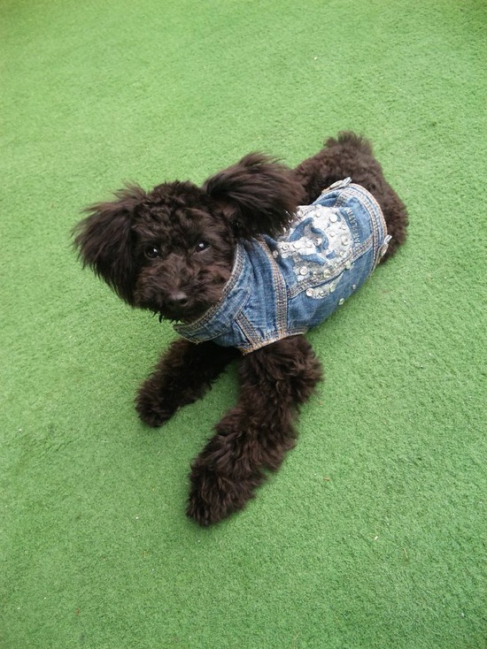 pict-090503_160530 (3)