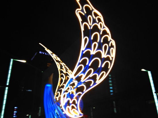 as know as de wan トイプードル 銀座リリー05