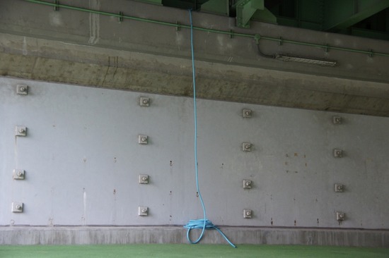 as know as de wan_銀座リリー_トイプードル07