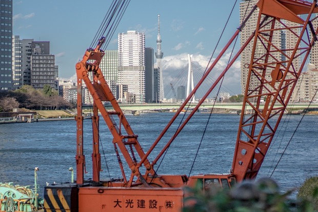 20151225 ブラックトイプードル銀座リリー＆ドナ18