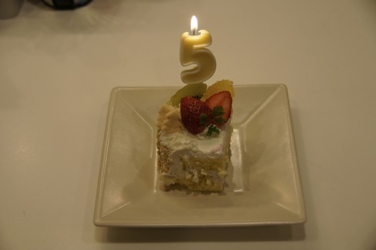 銀座トイプードルリリーas know as de wan37