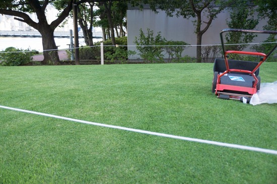 トイプードル ブログ 銀座リリーとドナas know as de wan21