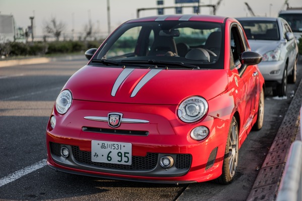 20151129ブラックトイプードル銀座リリー&ドナ026