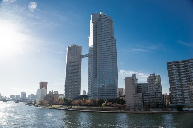 20151205ブラックトイプードル銀座リリー＆ドナ71