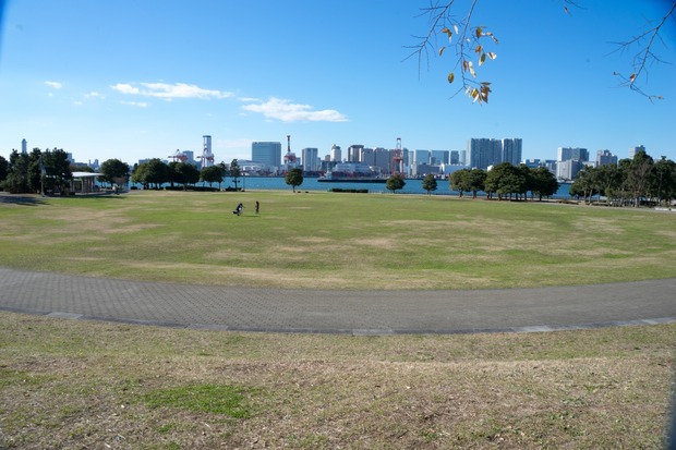 20151222ブラックトイプードル銀座リリー＆ドナ03