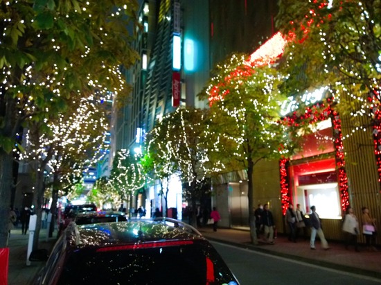 トイプードル ブログ 銀座リリーとドナ42