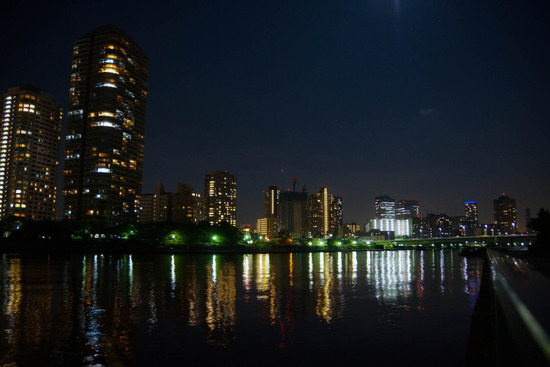 ニャンバーワン,銀座トイプードル,リリーとドナ,asknowasdewan003