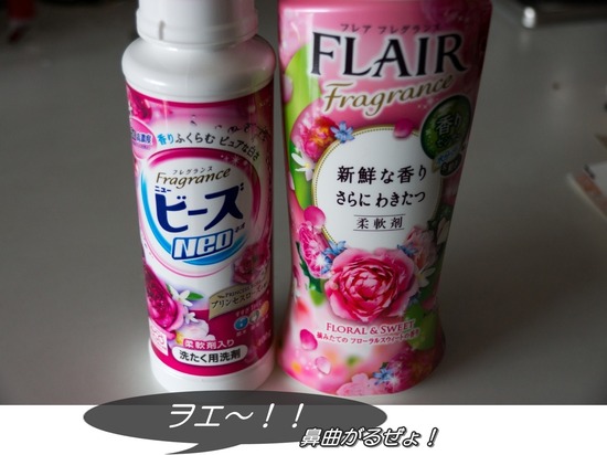 ブログRosieトイプードル銀座リリーとドナas know as de wan67