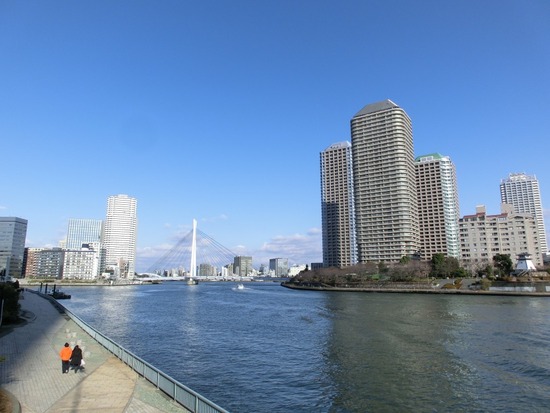 銀座トイプードルリリーas know as de wan02