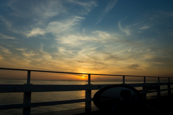 トイプードル銀座リリー001