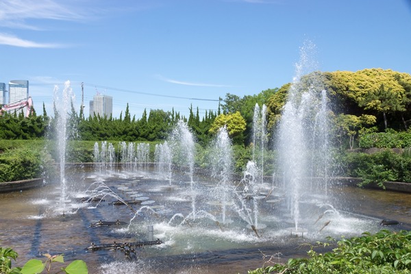 ブラックトイプードル銀座リリードナ00031