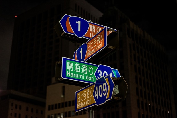 20151219ブラックトイプードル銀座リリー＆ドナ09