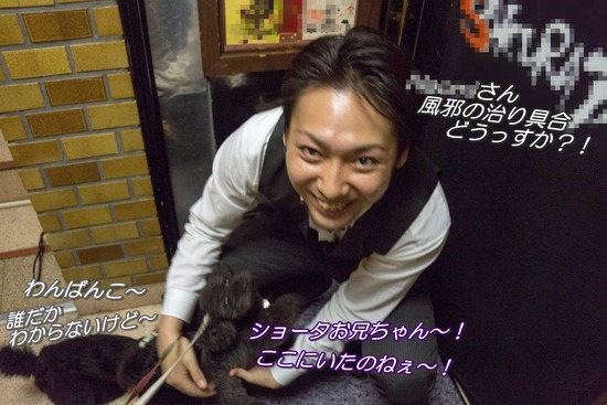 ブログRosieトイプードル銀座リリーとドナas know as de wan04