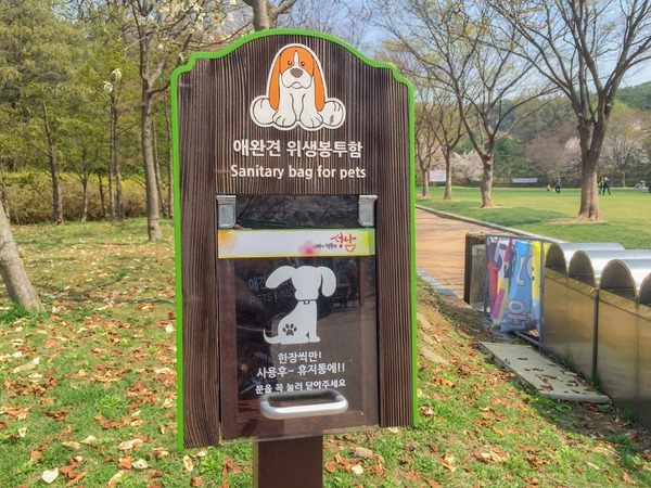 ブラックトイプードル銀座リリードナ042