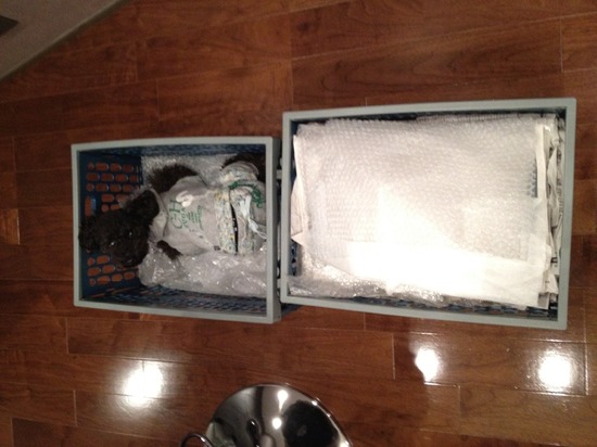 as know as de wan トイプードル 銀座リリー01