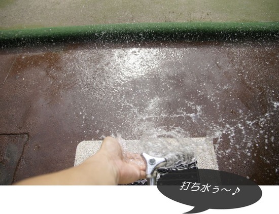 トイプードル銀座リリーとas know as de wan07