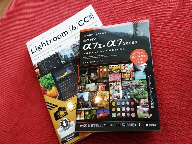 ブラックトイプードル銀座リリー＆ドナ17