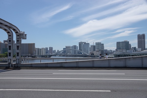 ブラックトイプードル銀座リリードナ00019