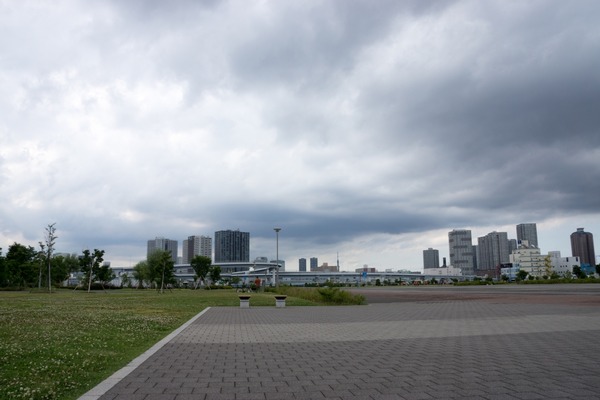 ブラックトイプードル銀座リリードナ00020