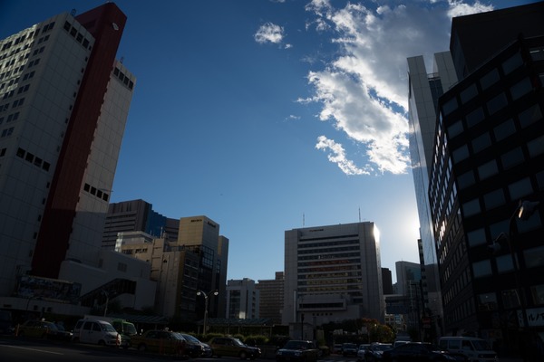 20151127ブラックトイプードル銀座リリー＆ドナ005