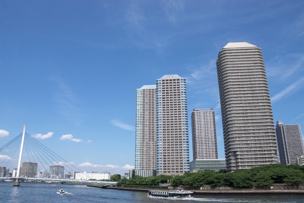 銀座トイプードル_リリードナ02