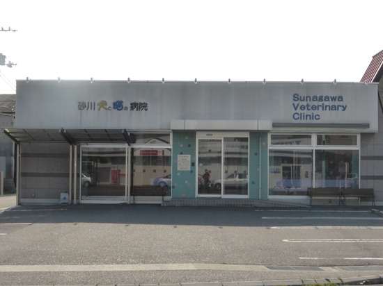 501 銀座ブラックのトイプードルリリーとドナas know as de wan03