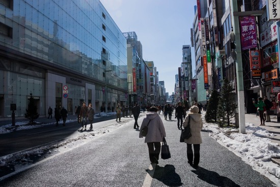 銀座トイプードル,リリーとドナ,as know as de wan022