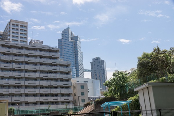 ブラックトイプードル銀座リリードナ002