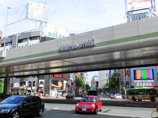 as know as de wanとトイプードルブラックの銀座リリー02