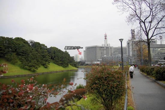 as know as de wan トイプードル 銀座リリー20