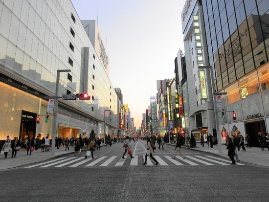 as know as de wan トイプードル 銀座リリー26