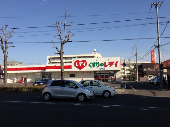 銀座トイプードルリリーas know as de wan12