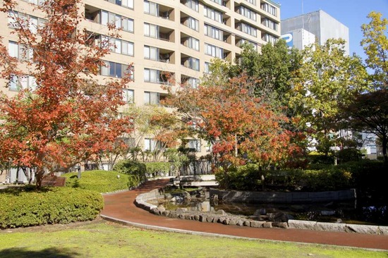 as know as de wanとトイプードルブラックの銀座リリー38