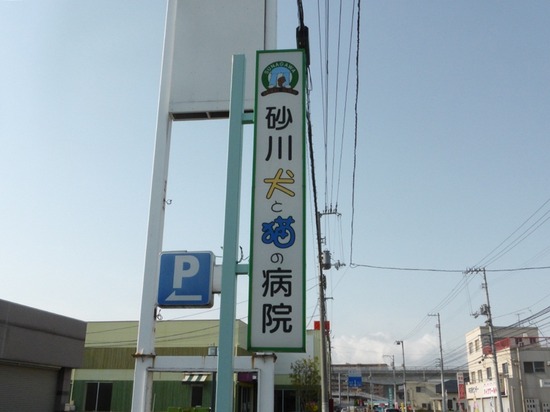 501 銀座ブラックのトイプードルリリーとドナas know as de wan04