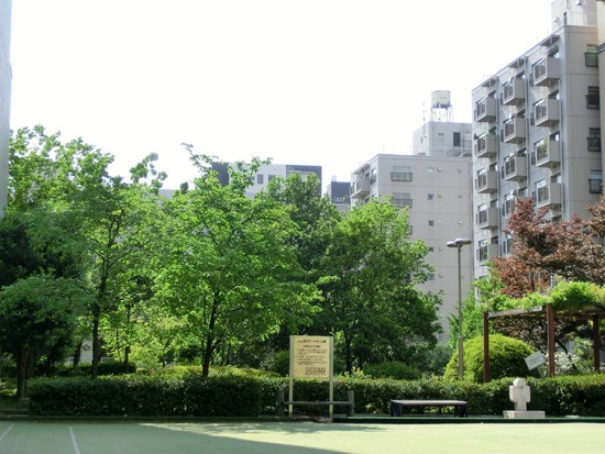 as know as de wan_銀座リリー_トイプードル06