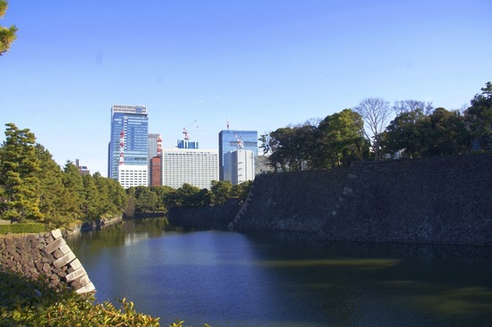 銀座トイプードルリリーas know as de wan23