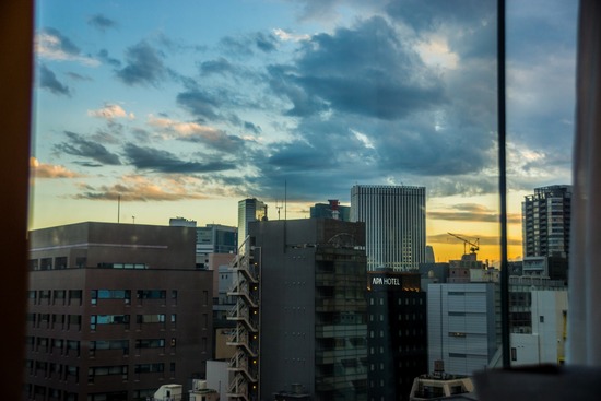 ブラックのトイプードル銀座リリー＆ドナas know as de wan17