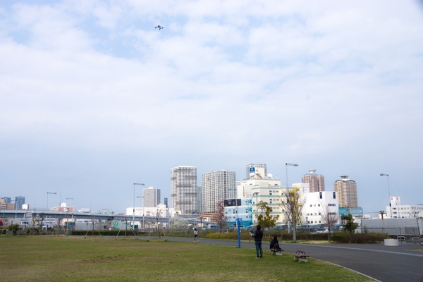 ブラックトイプードル銀座リリードナ051