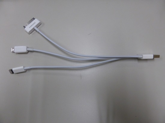 329 銀座ブラックのトイプードルリリーとドナas know as de wan13