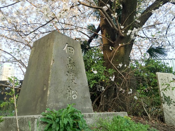 ブラックトイプードル銀座リリードナ004